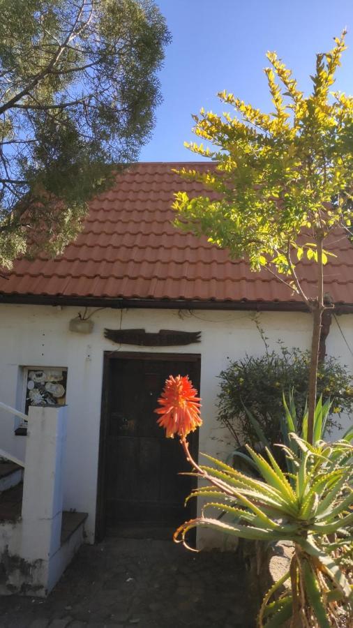 Atlantic Pearl Guest House Midrand Exteriör bild